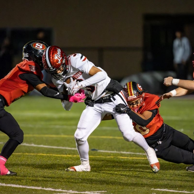 Mark Bausman 2025-10-3-09503