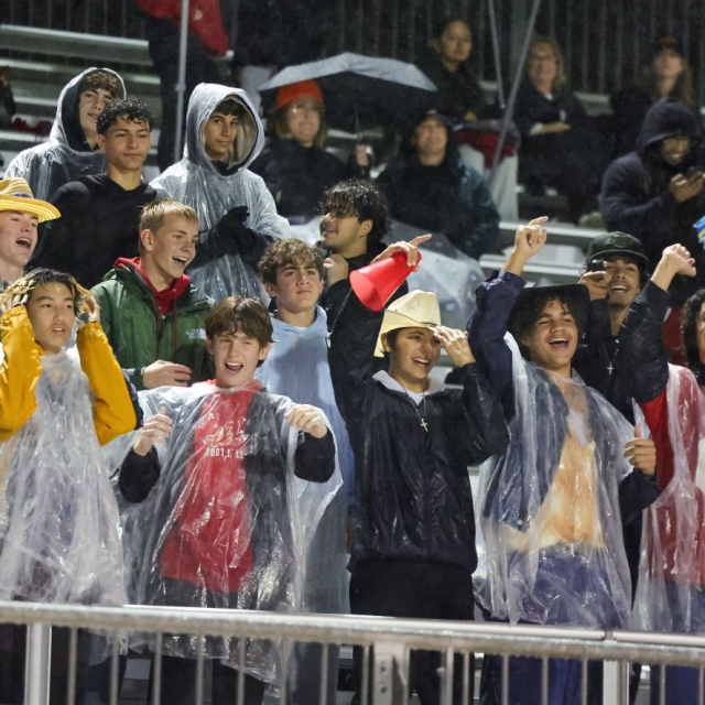 Woodbridge fans celebrate